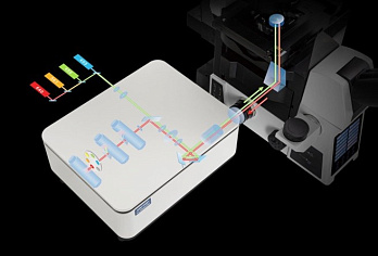 Микроскоп конфокальный лазерный сканирующий CLSM600, просторное расположение лазеров