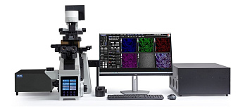 Микроскоп конфокальный лазерный сканирующий, для биологических исследований CLSM600