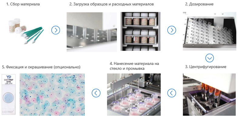 Этапы приготовления гистологических препаратов Аппараты для окраски гистологических и цитологических препаратов представляют собой высокотехнологичное оборудование, которое позволяет выполнять широкий спектр стандартных и специализированных методик окрашивания, что значительно улучшает видимость клеточных структур и тканей под микроскопом. Благодаря точности и воспроизводимости результатов, такие аппараты являются ключевым инструментом для проведения достоверной диагностики и научных исследований.